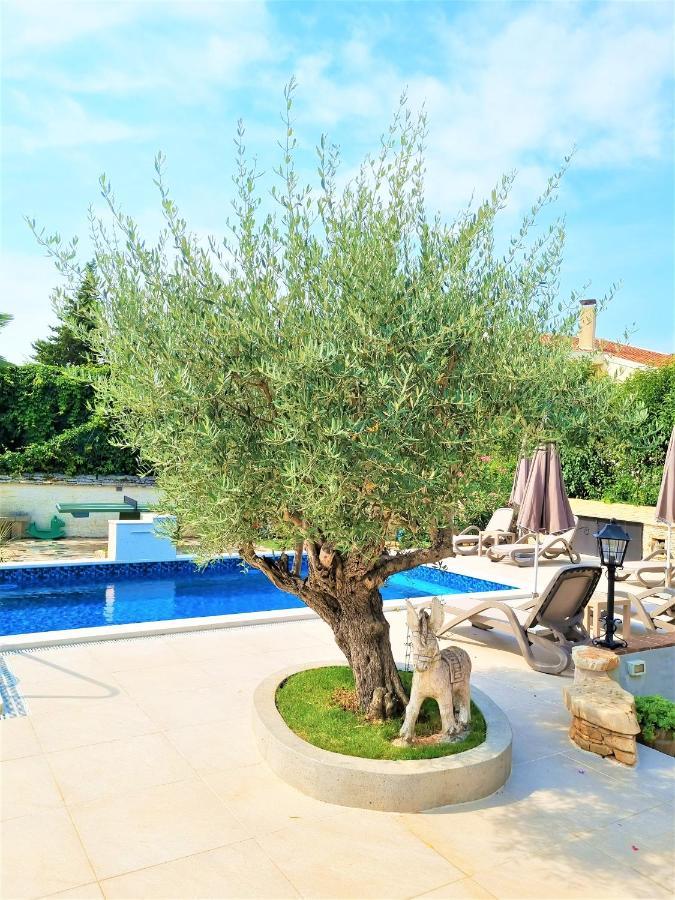 Apartment Villa Engel With Pool Πόρετς Εξωτερικό φωτογραφία